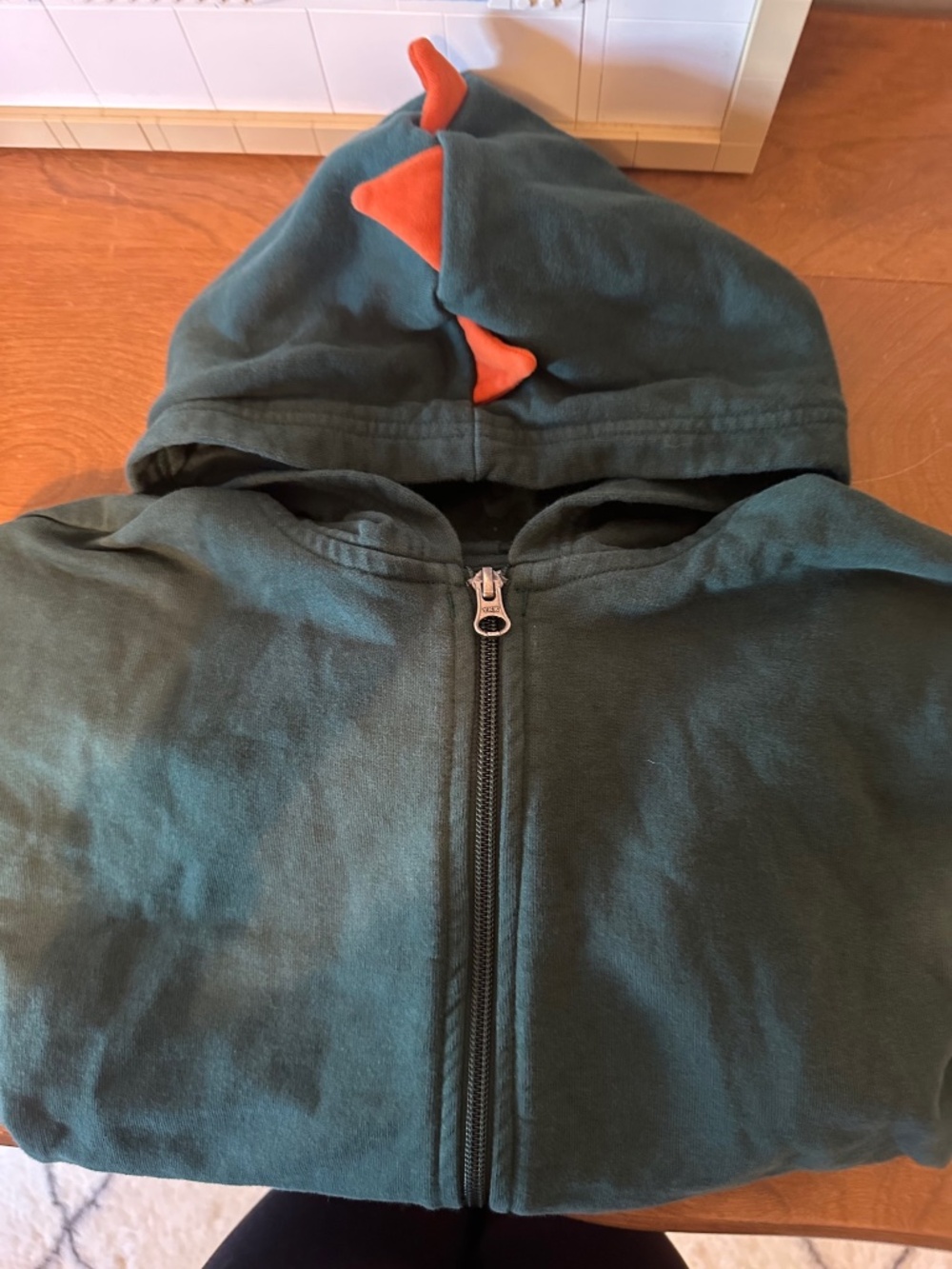 Hanna Andersson Dinosaur Hoodie